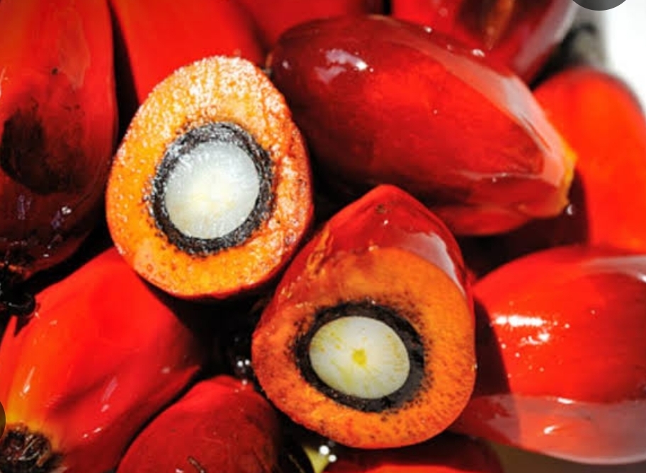 screenshot 2026 01 21 13 11 11 392 com.android.chrome edit